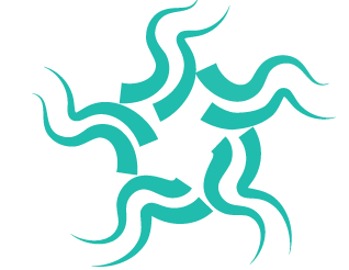 Brainpool Solutions Logo